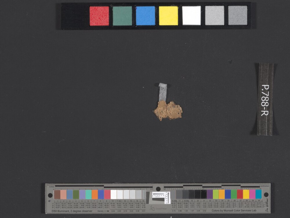 8Q1 Genesis showing Genesis 18:21 from Late 1st Century BC - Mid-1st Century AD found in Qumran, Cave 8, currently housed at Rockefeller Museum, Jerusalem